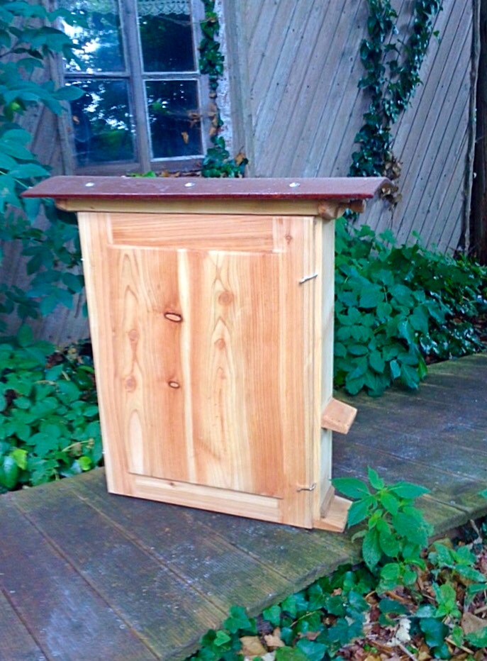 Bienenschaukasten Zander